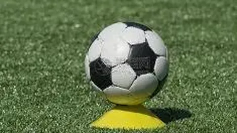 球盟会 产品 101226 pch