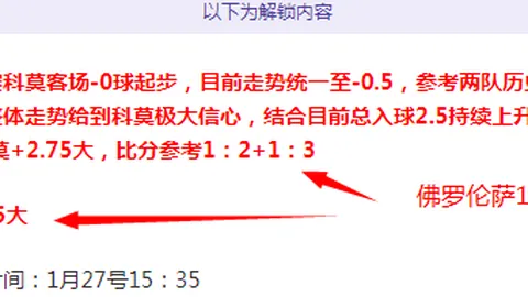 澳超对决：纽卡斯尔喷气机VS奥克兰FC，专家推荐及比分分析